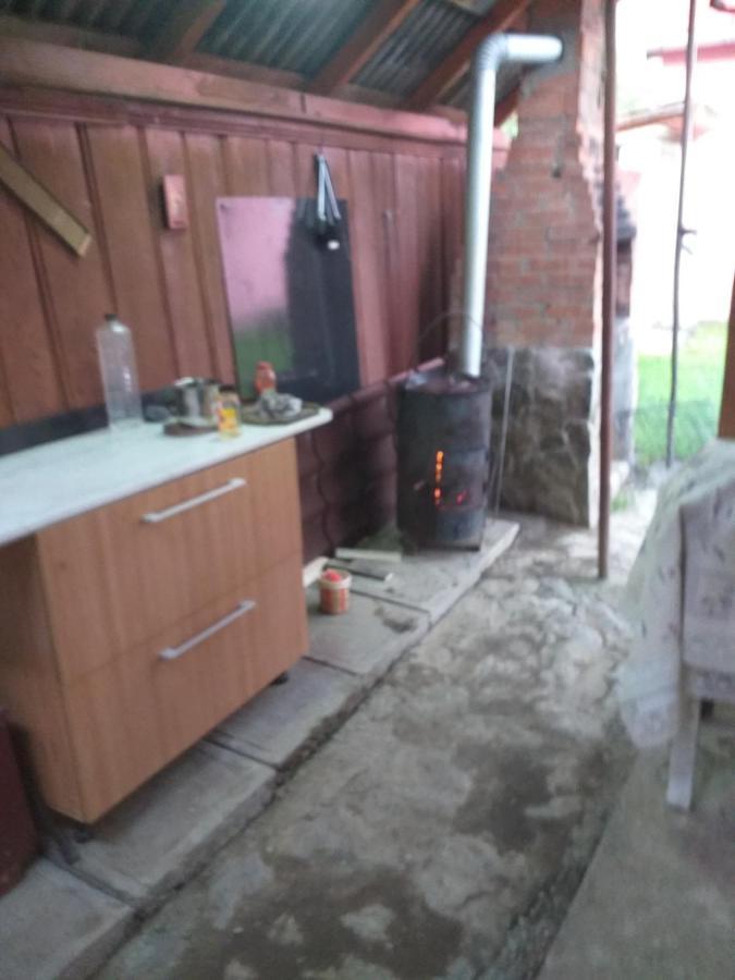 Casa Argentina Villa Cîrţişoara Exteriör bild