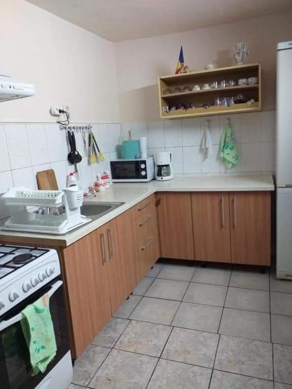 Casa Argentina Villa Cîrţişoara Exteriör bild